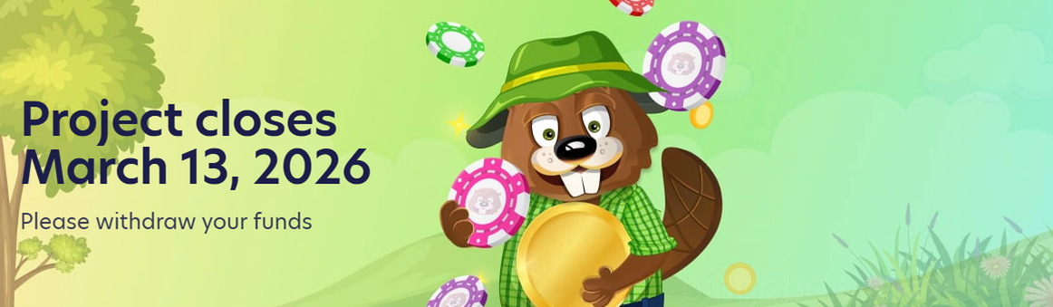 Bingobonga Casino